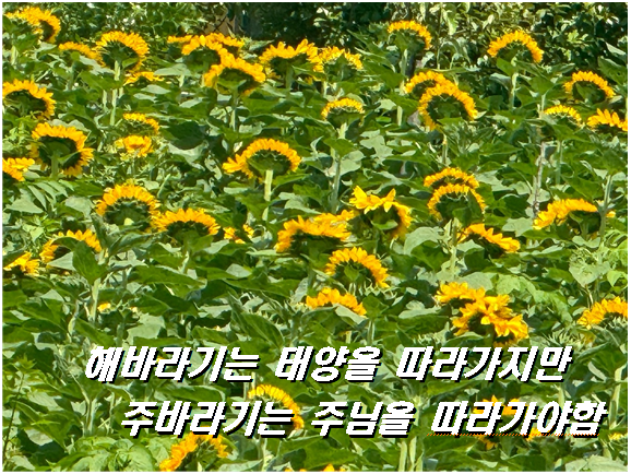 519d90bc2ec2e7456d3e082d197b4d30_1751248782_5491.png